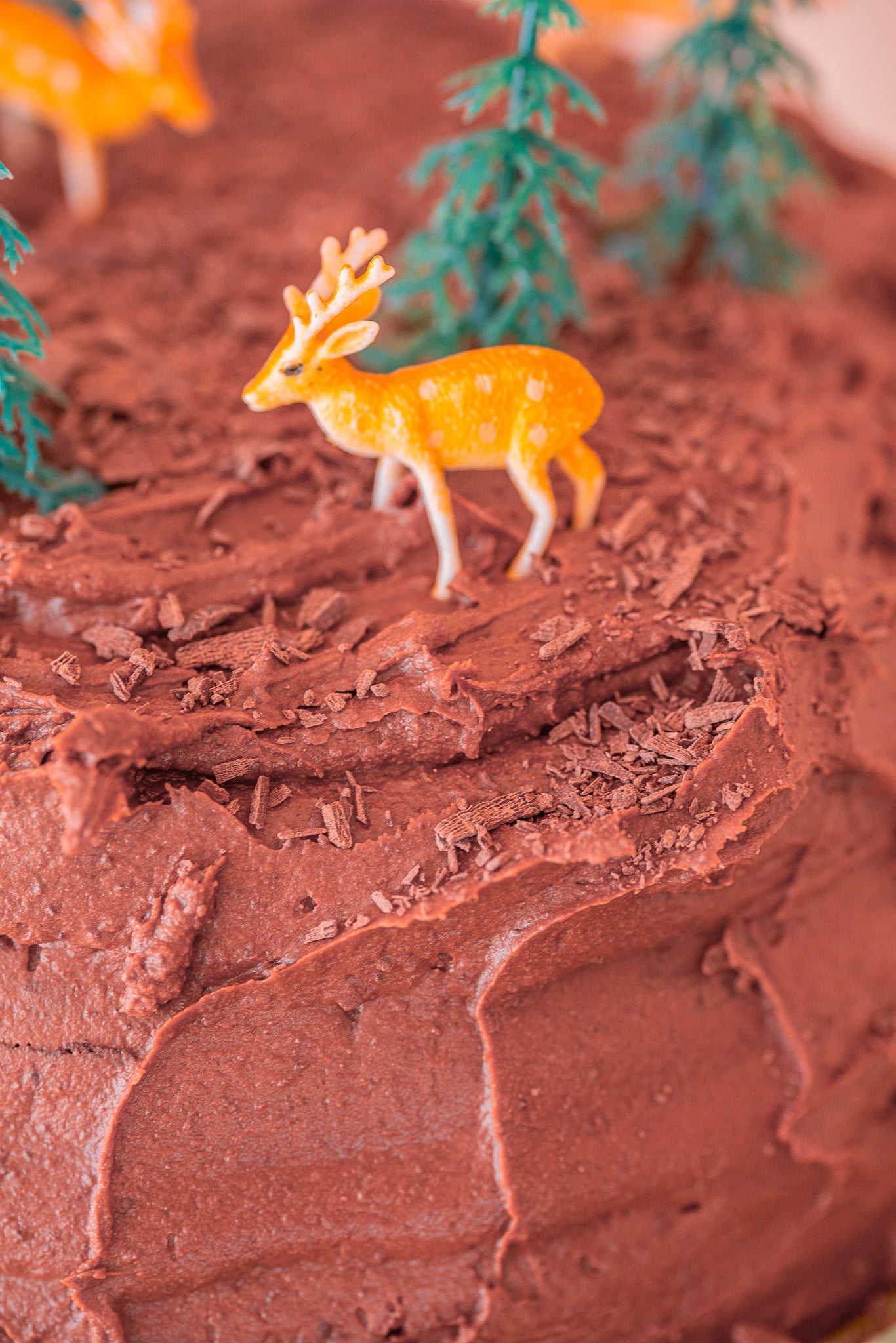 Bare Bones Christmas Chocolate Cake Recipe Kit