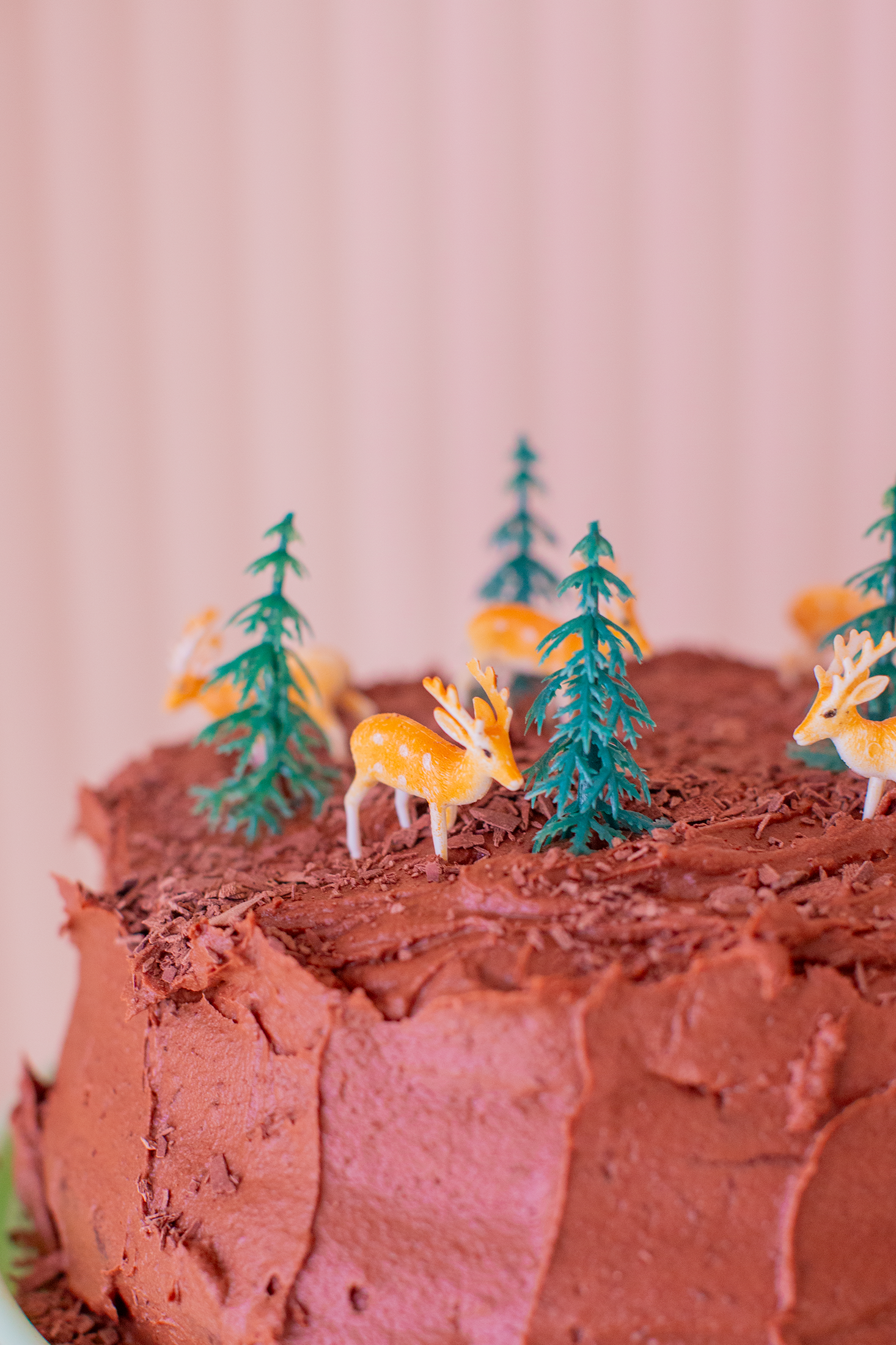 Bare Bones Christmas Chocolate Cake Recipe Kit