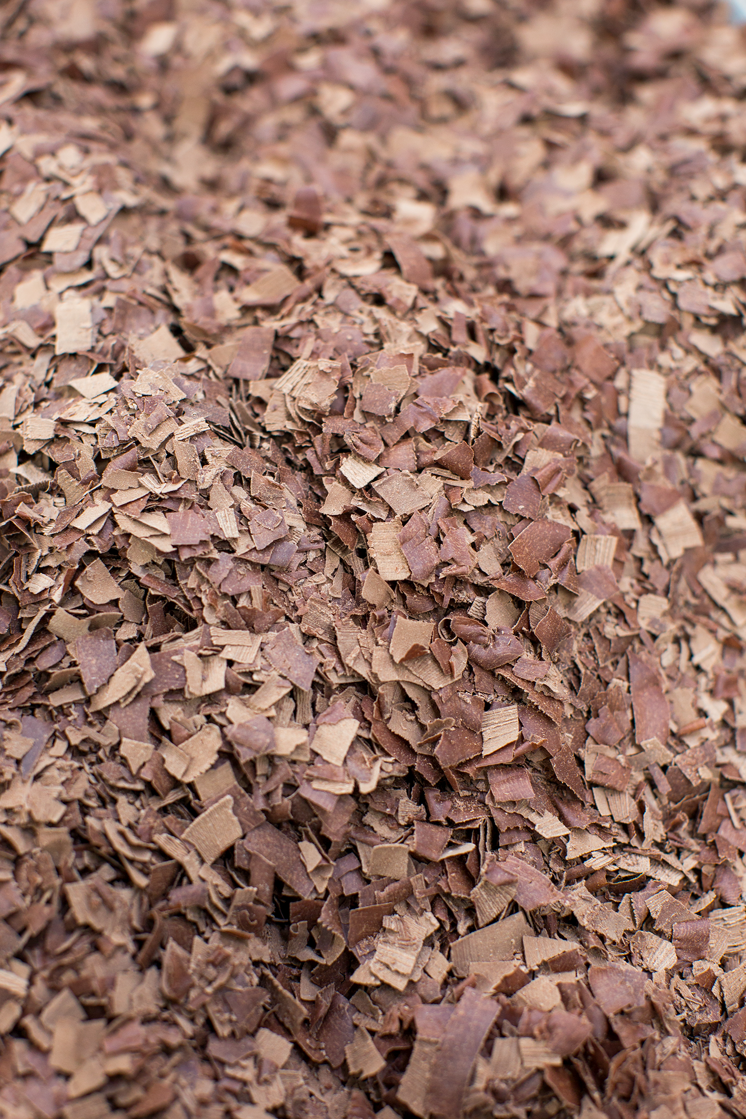 Bare Bones Hot 68% Dominican salted chocolate flakes. Organic hot chocolate flakes. Vegan hot chocolate flakes. Hot chocolate for velvetiser