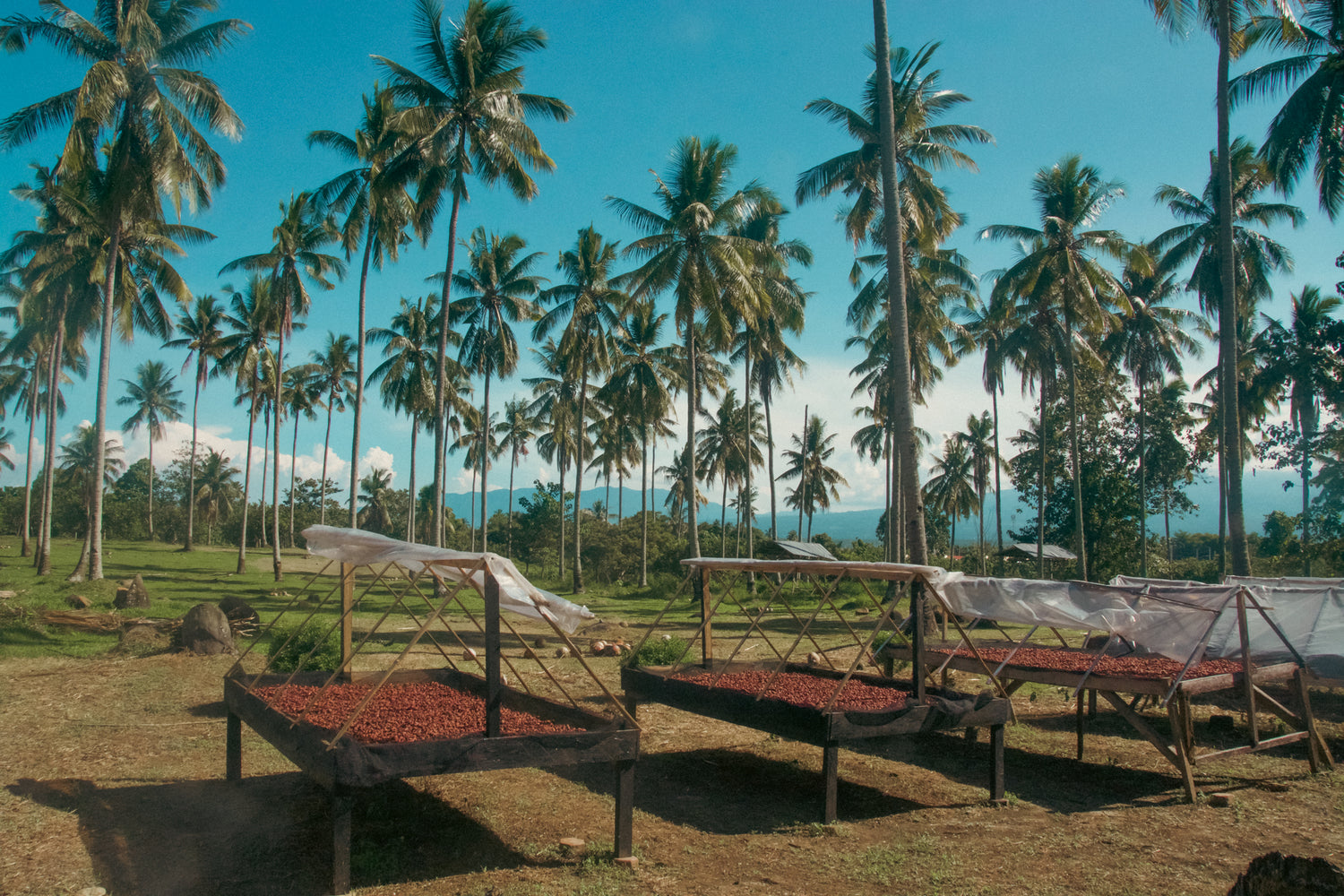 Philippines 70% Dark Chocolate (vegan)