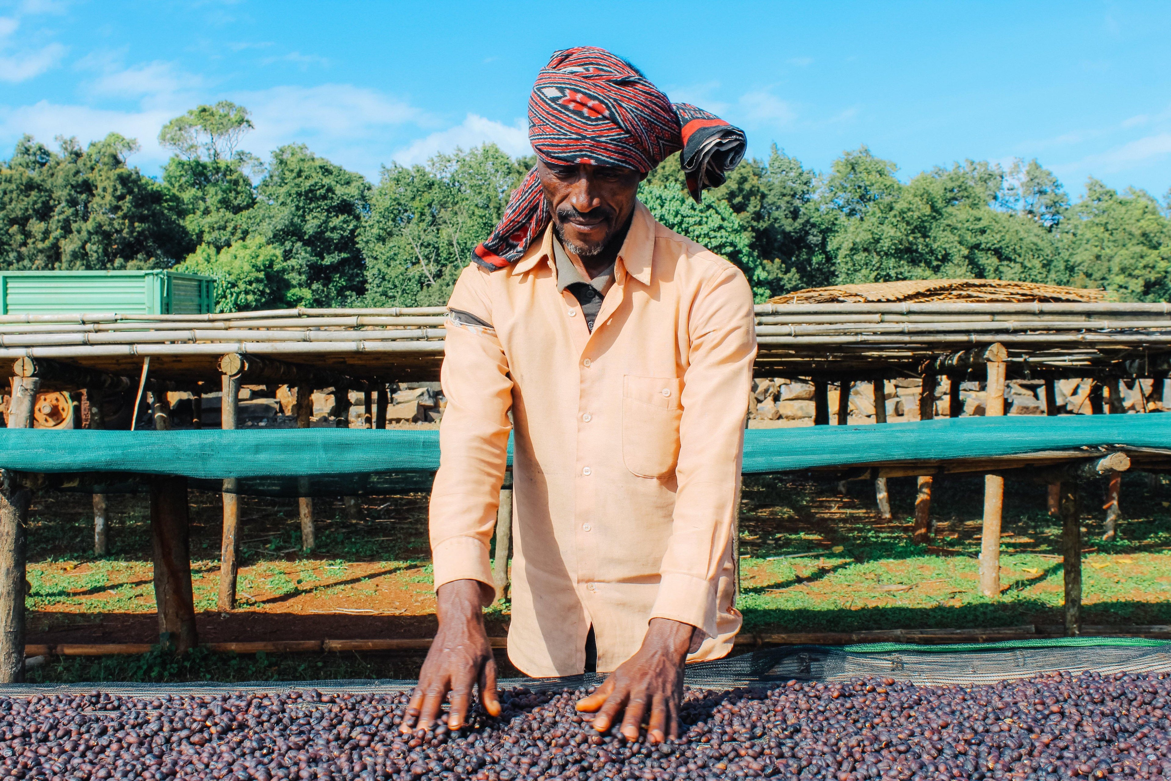 Honduras Milk Chocolate 59% with Ethiopian Coffee - Bare Bones Chocolate