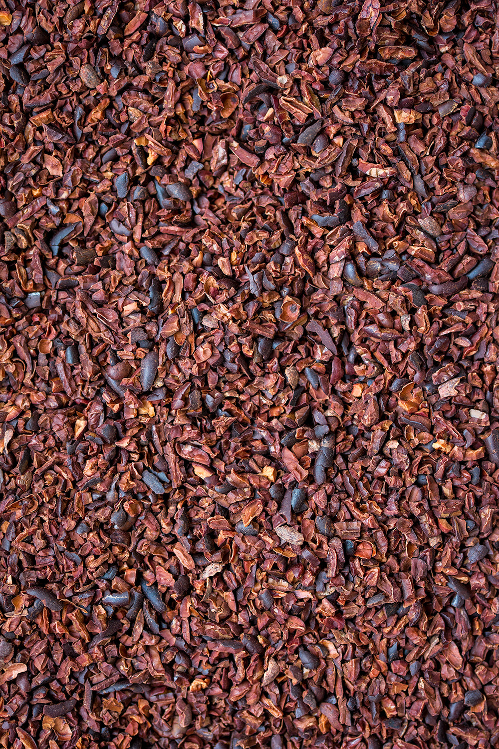 Dominican organic cocoa nibs 120g, sourced from Öko Caribe, Bare Bones Chocolate Glasgow